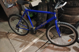 DVIRATIS  Naudotas  - Kitas -  dviratis