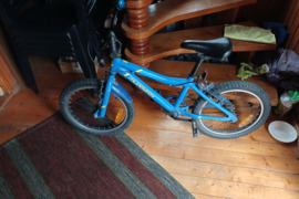 Vaikiškas dviratis  Naudotas  Vaikiškas  dviratis