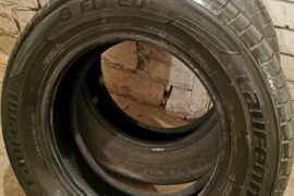 Laufenn, Vasarinės padangos