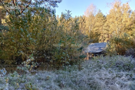 Druskininkų sav., Gailiūnai, Trūkiškio g.