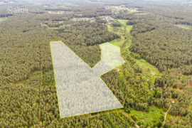 1384.00 a sklypas Vilniaus r. sav., Liepiai