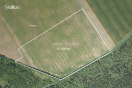 13.14 a sklypas Joniškio r. sav., Žadeikiai