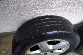 Lieti ratlankiai, R-14