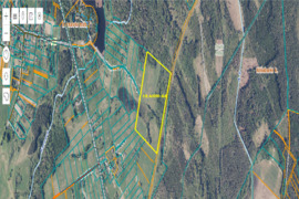 Širvintų r. sav., Kernavės sen., Klišabalės k.