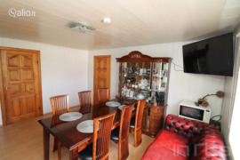 Panevėžys, Panevėžys, Pušaloto g.