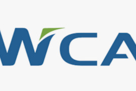 ZWCAD 2025 PRO licencija