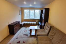 1 kambario suremontuotas butas Dainavos mikrorajone