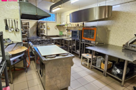 Patalpos Kėdainių r. sav., Kėdainiai, P. Lukšio g.