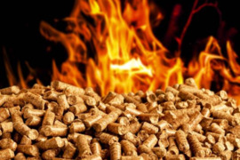 GRANULĖS ENplius A1klasės