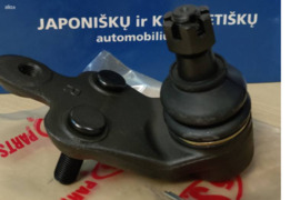 Šarnyras Toyota Camry 2006.01-> (ACV40, GSV40)