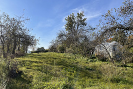 6 a .sodo sklypas Dukstynos sodų bendrijoje