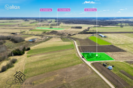 Šilalės r. sav., Žvingiai, Veringos g.