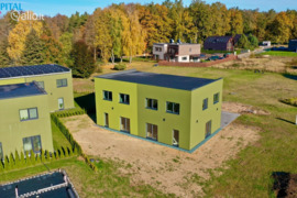 Kauno r. sav., Vaišvydava, Liepų al.