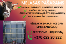 Melasas Pašarams-natūralus Energijos Šaltinis!