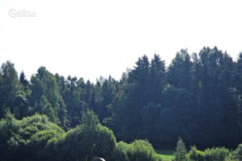 Plungės r. sav., Babrungėnai