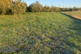 71 a sklypas Marijampolės sav., Sasnava, Žalgirio g.