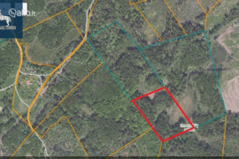 272.0 a sklypas Trakų r. sav., Parankava