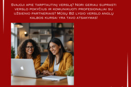 Verslo anglų kalbos kursai