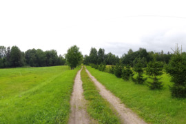 Parduodama su Duburio ežeru besiribojanti SODYBA Zarasų rajone