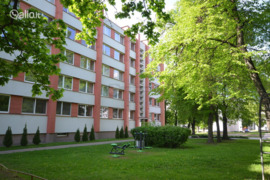 1 kamb. butas Vilnius, Naujamiestis, Geležinio Vilko g.