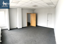 Patalpos Vilnius, Pašilaičiai