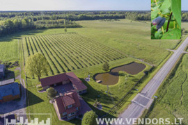 PARDUODAMA SODYBA RIETAVO SAV., ŽADVAINIŲ K., JŪROS G.