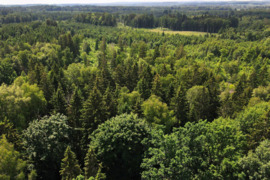 Parduodamas Žemės - miško sklypas 