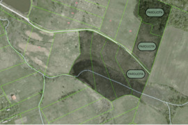 PARDUODAMAS SKLYPAS ŠIRVINTŲ R., KERNAVĖS MSTL.