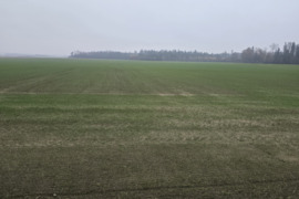 10000 a sklypas Šalčininkų r. sav., Šalčininkai