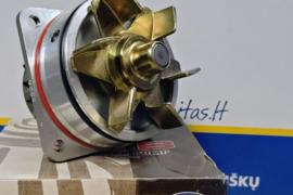 Nissan terrano  (R50)  vandens pompa