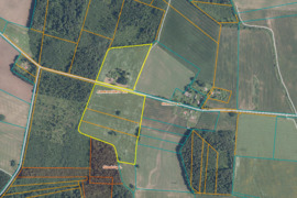 Parduodama sodyba su žeme Anykščių r., Debeikių sen., Jankaviškio k. + papildomi žemės sklypai