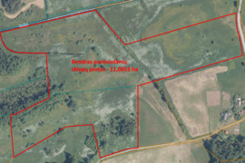 Zarasų r. Jakunčių k. parduodamas 11,0853 ha žemės ūkio paskirties sklypas 