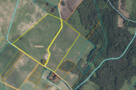 PARDUODAMAS 21,59 HA ŽEMĖS ŪKIO PASKIRTIES SKLYPAS ROKIŠKIO R.