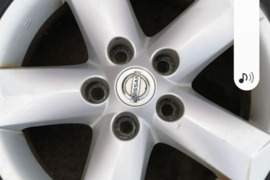 Lieti ratlankiai, R-16