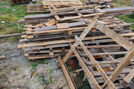 Dovanojame medieną, Karklė