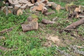 Medžių pjiovimas , krūmų, teritorijos valdymas