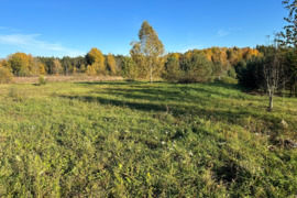 Parduodamas 50 a žemės sklypas Trakų rajone, Raudoniškių k.