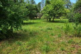 Namų valdos sklypas Perlojoje