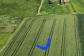 84 a sklypas Širvintų r. sav., Kaimynai