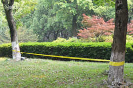 vidaXL Balansinė juosta, 15m x 50mm, 150 kg, geltonos sp.