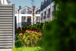 Vilnius, Lazdynėliai, Lazdynėlių g.