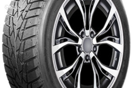 AUTOGREEN DW01 195/55R16 87T, Žieminės padangos