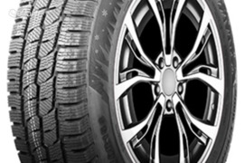 AUTOGREEN DW06 195/60R16 99/97T C, Žieminės padangos