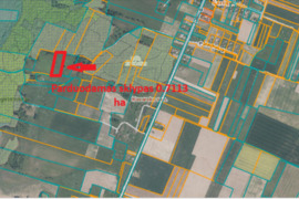 Parduodamas žemės ūkio paskirties sklypas