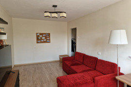 Parduodamas šviesus 1 kamb butas Šnipiškėse