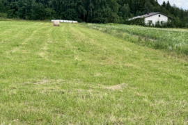 Sklypas Kretingos raj. Dupulciu kaimas, Šiaulių gatvė