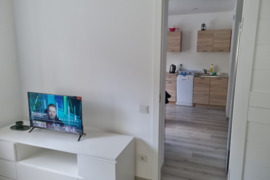 Centre, tarp Kauno pilies ir Verslo doko išnuomojamas 1.5 k. butas su autonominiu šildymu ir parking