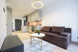 1 kamb. butas Vilnius, Žirmūnai (Žirmūnų sen.), Riterių g.