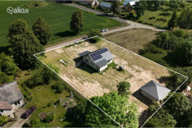 Alytaus r. sav., Punia