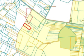 125.00 a sklypas Kaišiadorių r. sav., Juodiškės
